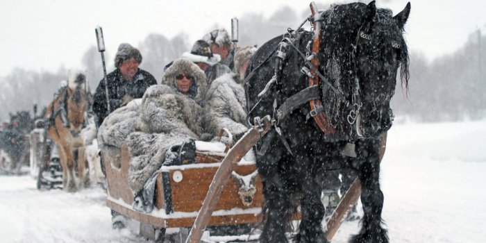 2880x1800 Best 27+ Sleigh Ride Wallpaper on HipWallpaper | Princess Bride