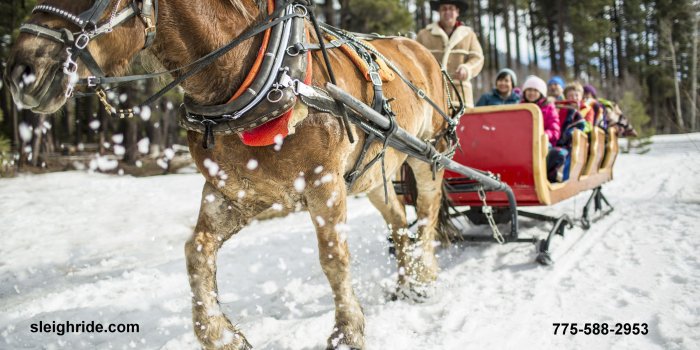 2500x1667 Borges Sleigh and Carriage Rides