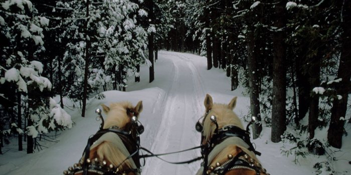 1600x1200 Best 27+ Sleigh Ride Wallpaper on HipWallpaper | Princess Bride