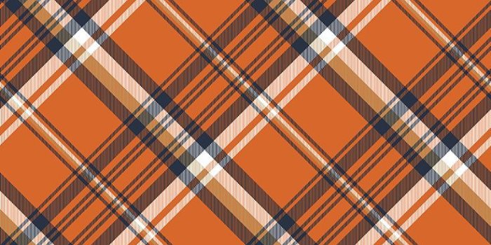 735x1103 Orange Check Plaid Seamless Pattern Vector Stock Vector (Royalty Free)  646753702 | Shutterstock | Autumn phone wallpaper, Cute fall wallpaper,  Halloween wallpaper backgrounds