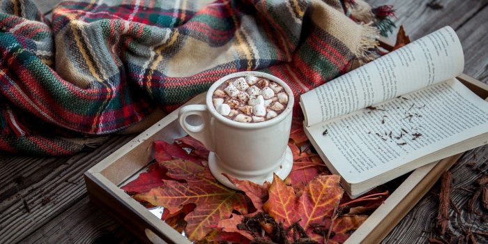 1332x850 Wallpaper wood, background, autumn, leaves, book, cocoa, tray