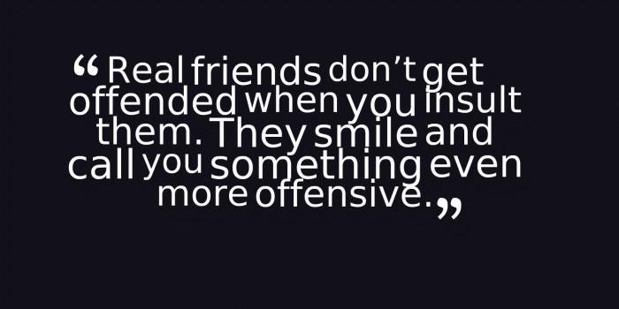 1600x900 Funniest Friendship Quotes - Horsey Windpump (#771409) - HD