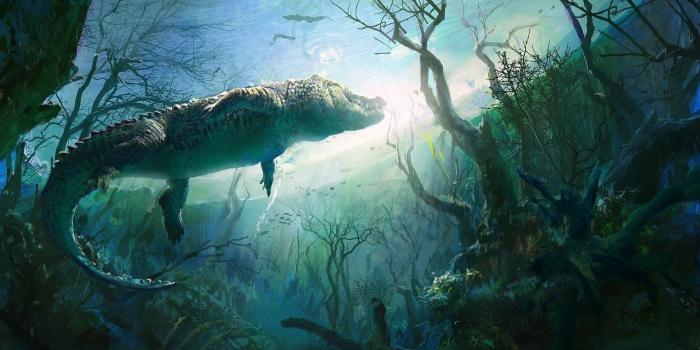 1920x1080 Free download Alligator Wallpapers 48 Alligator Wallpapers