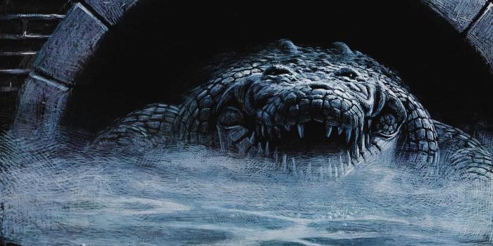 1920x1080 Free download Alligator Wallpaper HD [1920x1080] for your Desktop