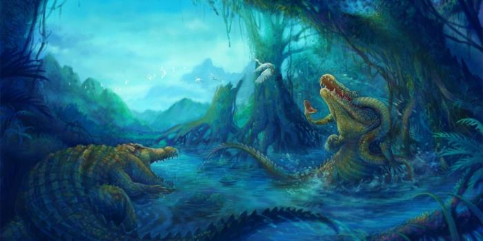 1600x900 Alligator wallpapers 1600x900 desktop backgrounds