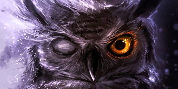 1280x720 Night Owl Wallpapers - Top Free Night Owl Backgrounds