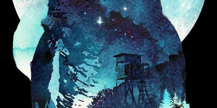 720x1280 Night Owl Wallpapers - Top Free Night Owl Backgrounds