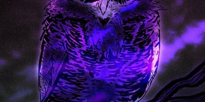 719x1111 Night Owl Wallpapers - Top Free Night Owl Backgrounds
