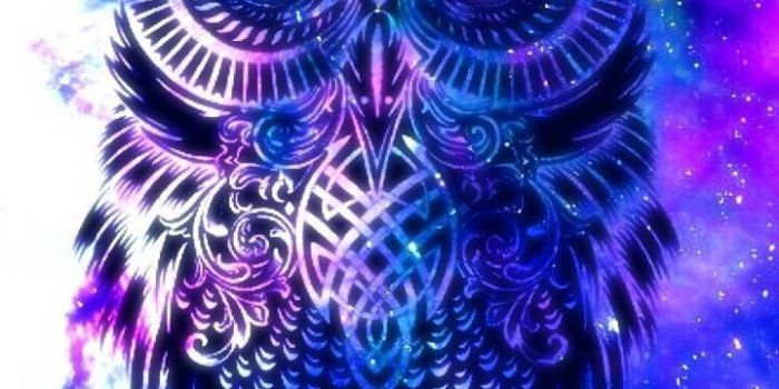 720x1280 Night Owl Wallpapers - Top Free Night Owl Backgrounds