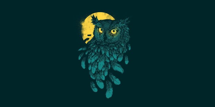1920x1200 Night Owl Wallpapers - Top Free Night Owl Backgrounds