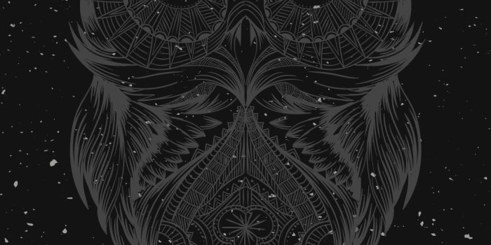 1080x1920 Night Owl Wallpapers - Top Free Night Owl Backgrounds