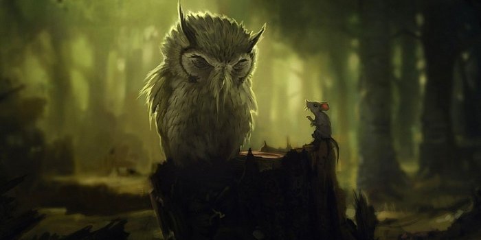 2048x1584 Fantasy Night Owl Wallpaper | Free HD Download