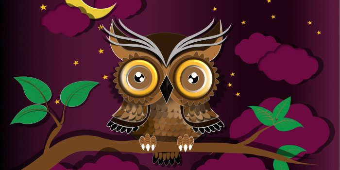 1920x1200 ArtStation - Night owl on watch wallpaper, chuks degraft