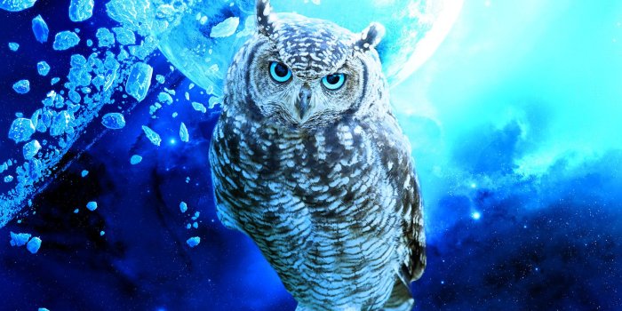 1920x1200 Halloween Night Owl Hounted Wallpapers Hd - Cool Owl Backgrounds