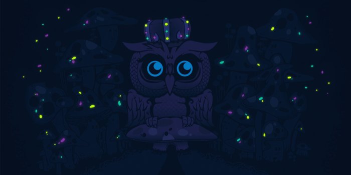 2560x1440 Night Owls Wallpapers