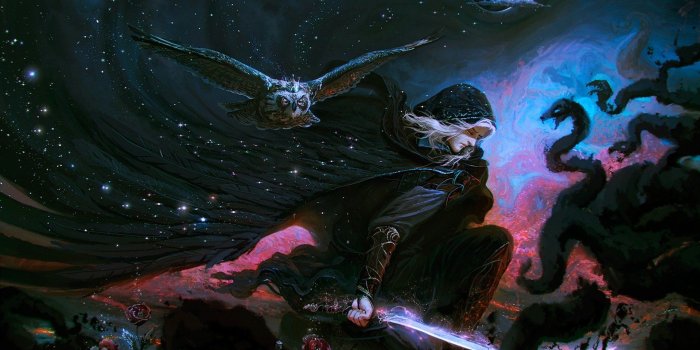 1920x1200 Owl Night Fantasy HD Wallpaper | Background Image | 1920x1200 | ID