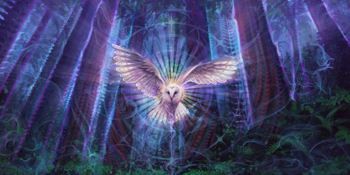 1920x1080 Night Owl - Paper Prints - Simon Haiduk Art