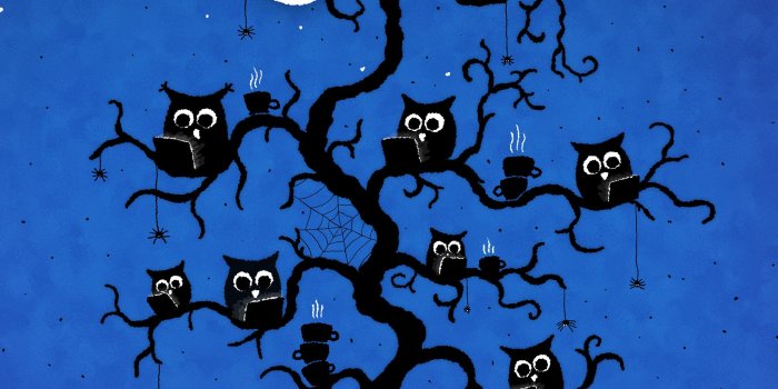 2048x2048 HD Night Owl Wallpapers | Download Free - 669178