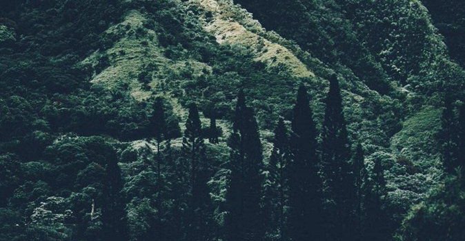 674x1199 Iphone Wallpaper - Iphone Wallpaper Japan Nature - 674x1199