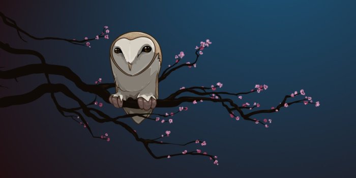 1600x1056 David Lanham • Night Owl