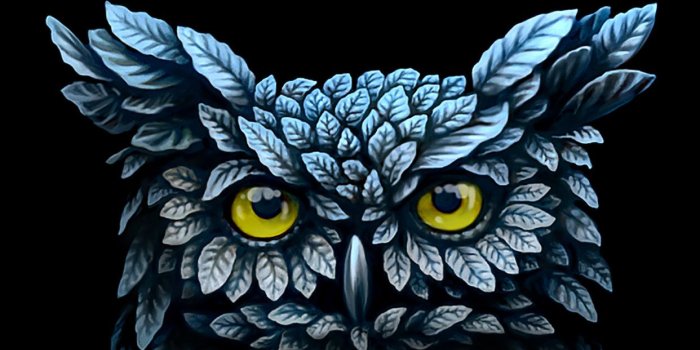 1242x2208 76+ Owl Iphone Wallpapers on WallpaperPlay