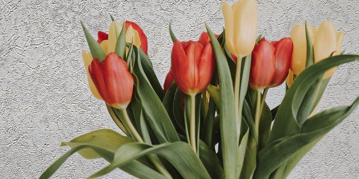 2000x2000 Shop Modern Wallpaper roll wall coverings gray silver metallic