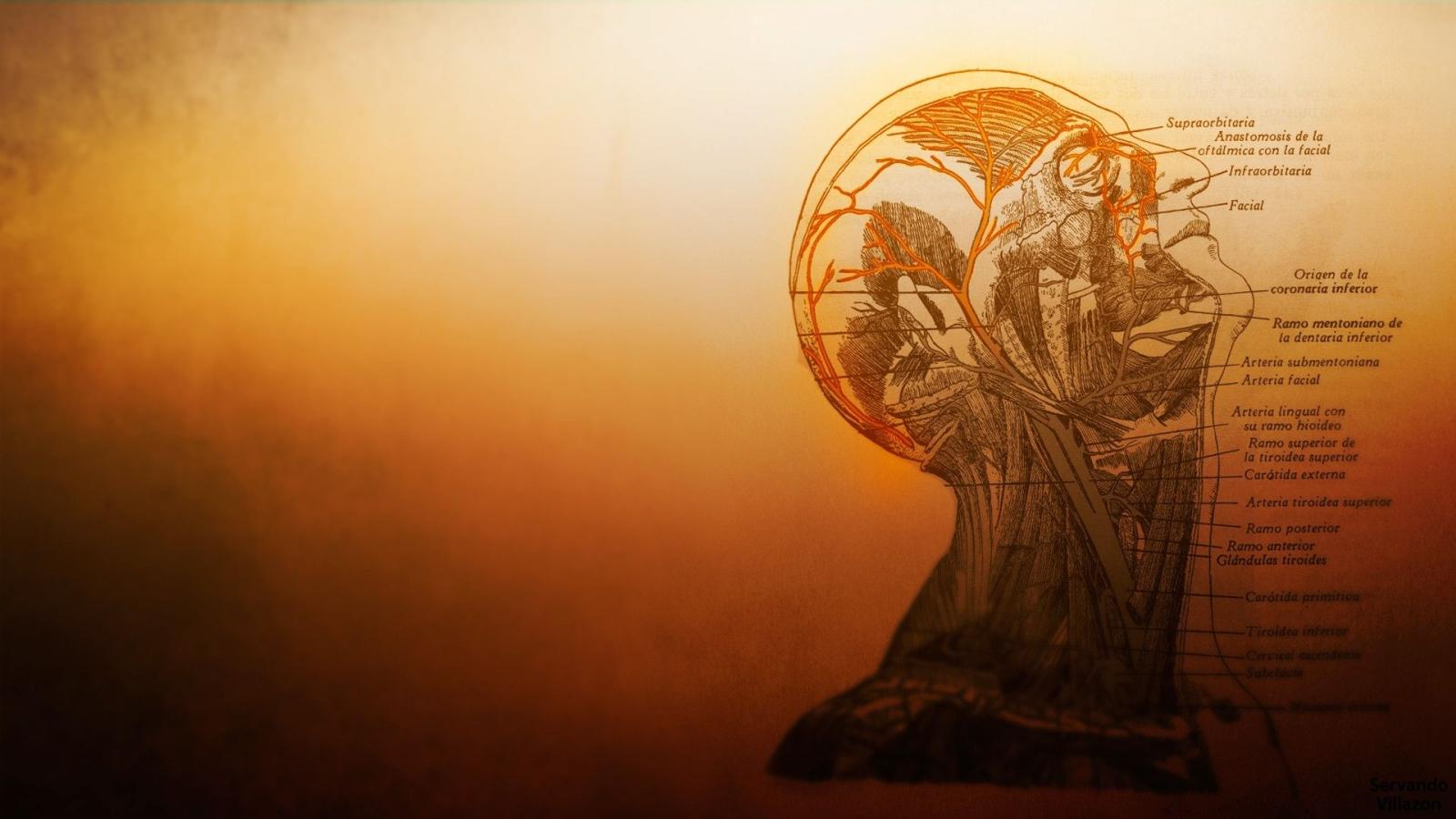 1920x1080 45+] HD Medical Wallpaper on WallpaperSafari