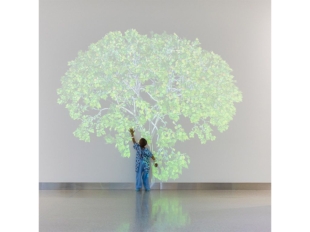 1024x768 Fine Art Is Good Medicine': How Hospitals Around the World Are