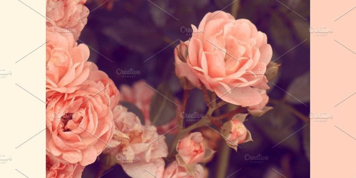 910x1617 Fashion aesthetic wallpaper phone. | High-Quality Beauty & Fashion