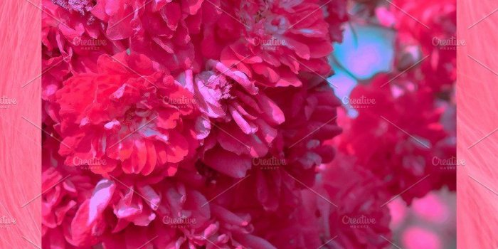 910x1617 Fashion aesthetic wallpaper phone. | High-Quality Beauty & Fashion