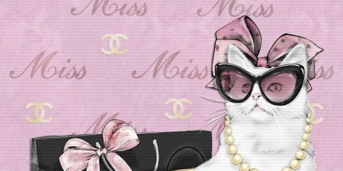 720x1280 Fashion Phone Wallpapers - Top Free Fashion Phone Backgrounds