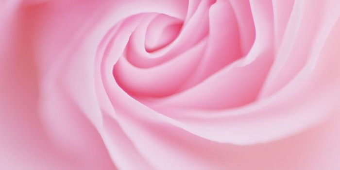 720x1280 Free download pink wallpaper eBay Electronics Cars Fashion HD