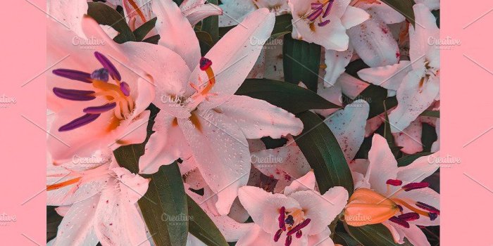 910x1617 Fashion aesthetic wallpaper phone. | High-Quality Beauty & Fashion