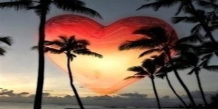 1440x1280 Heart Sunset wallpaper by __JULIANNA__ - d5 - Free on ZEDGE™