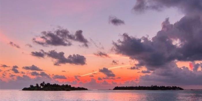 719x1280 Sunset wallpaper. Follow for more ☀️ on We Heart It