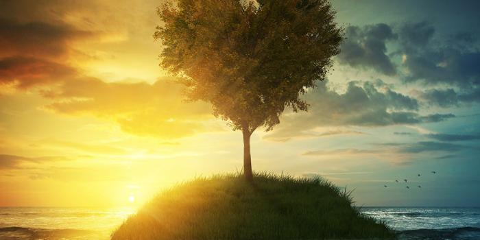 1365x1024 Wallpaper Heart Nature Sky Island Sunrises and sunsets Trees