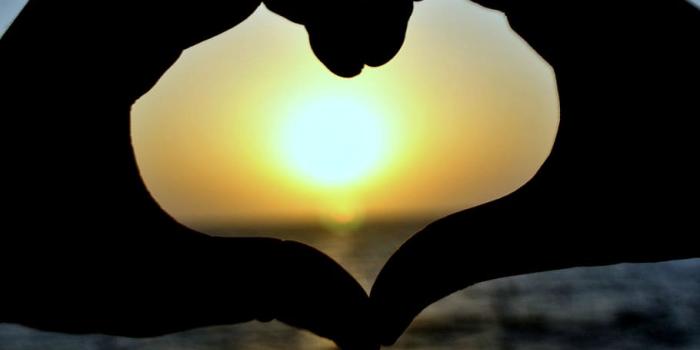 910x1359 HD wallpaper: silhouette of two hands forming heart behind sunset