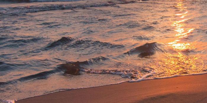 1125x2436 30+ New iPhone X Love Wallpapers / Backgrounds For Couples on