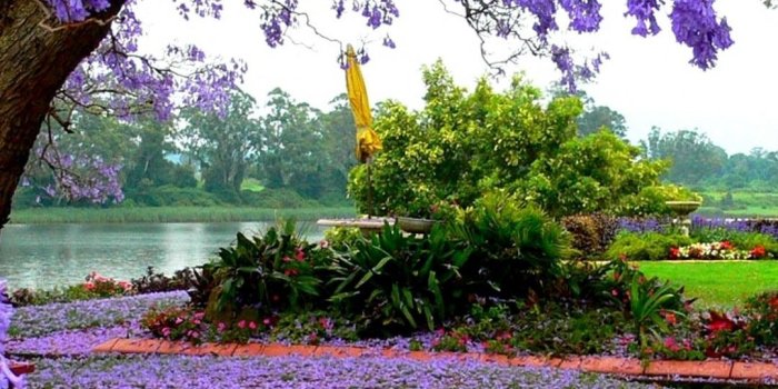 1080x1920 Beautiful Spring Wallpaper Android | Spring wallpaper, Android