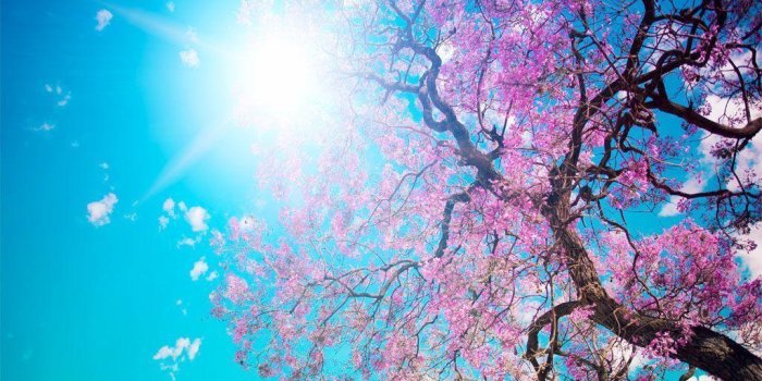 1024x768 Beautiful Spring Wallpapers