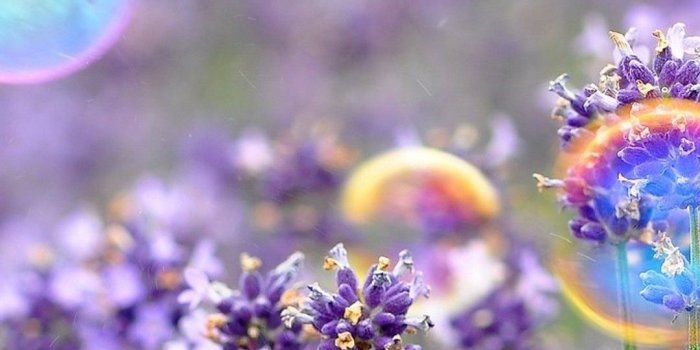 1080x1920 Beautiful Spring Android Wallpaper - 2020 Android Wallpapers