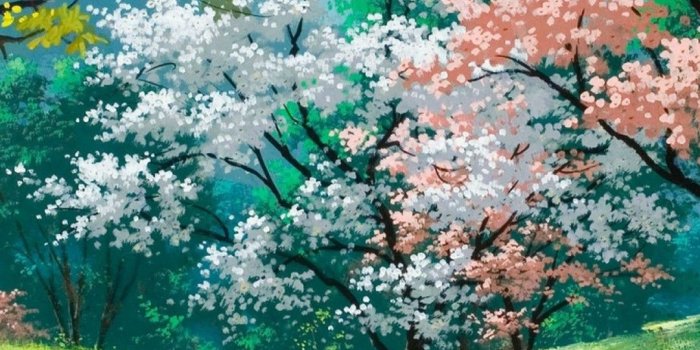 1080x1920 Beautiful Spring Wallpaper For iPhone | 2020 3D iPhone Wallpaper