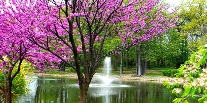 2560x1440 Beautiful Spring Wallpapers, Pictures, Images 50 Free - Spring