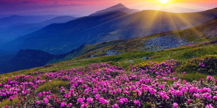 3044x1784 Beautiful Spring Wallpaper 4K for Android - APK Download