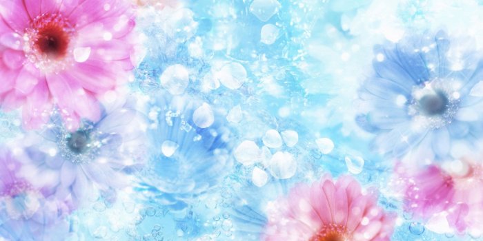 1920x1200 Beautiful Spring - Spring Wallpaper (27865762) - Fanpop
