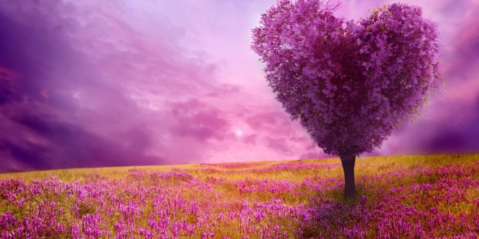 1920x1080 Beautiful Spring Wallpaper | 2020 Cute Wallpapers