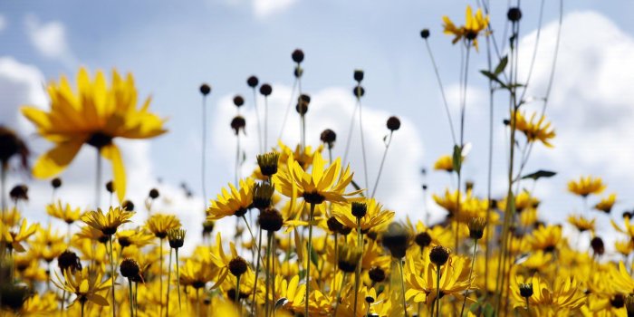 1920x1080 Beautiful Spring Wallpaper 45890 1920x1080px