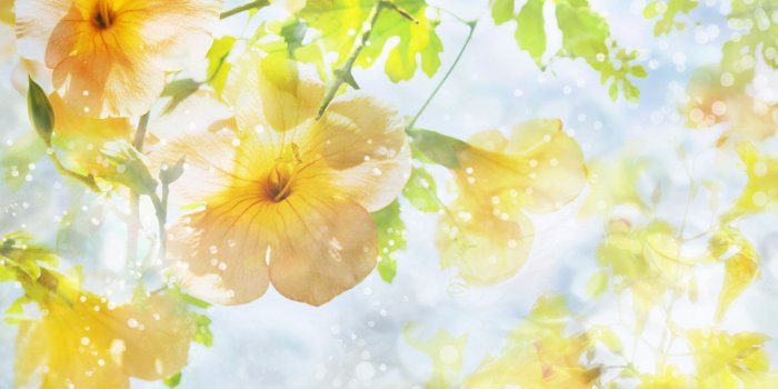 1920x1200 Beautiful Spring - Spring Wallpaper (27865976) - Fanpop