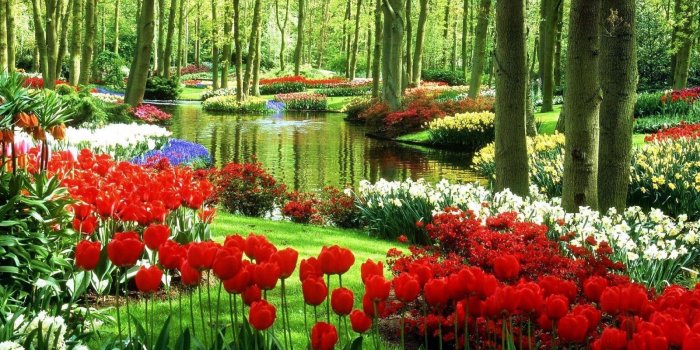 1600x900 FREE ALL HD WALLPAPERS DOWNLOAD: Beautiful Spring Wallpaper