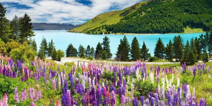 1440x900 Download Free 720p Wallpapers - Beautiful Pictures Of Spring